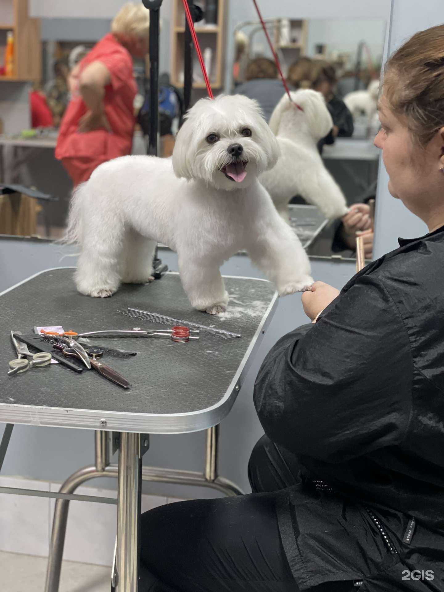 Отзывы на компанию Милорд в г. Хабаровск c фото