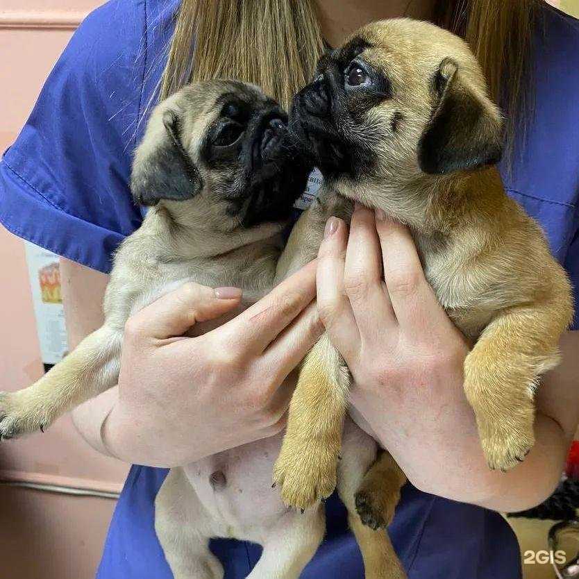 Отзывы на компанию БетхОвен в Нижнем Новгороде c фото