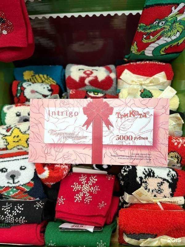 Отзывы на компанию Три кота в Ставрополе c фото