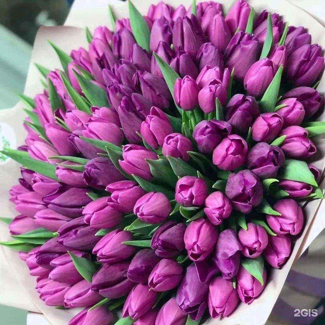 Отзывы на компанию Магнолия в Арзамасе c фото