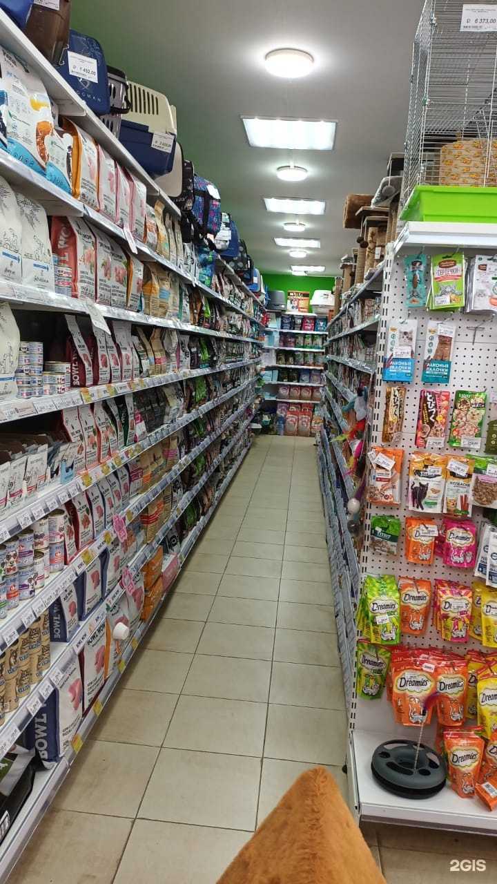 Отзывы на компанию Зоотигренок в Нижнем Новгороде c фото