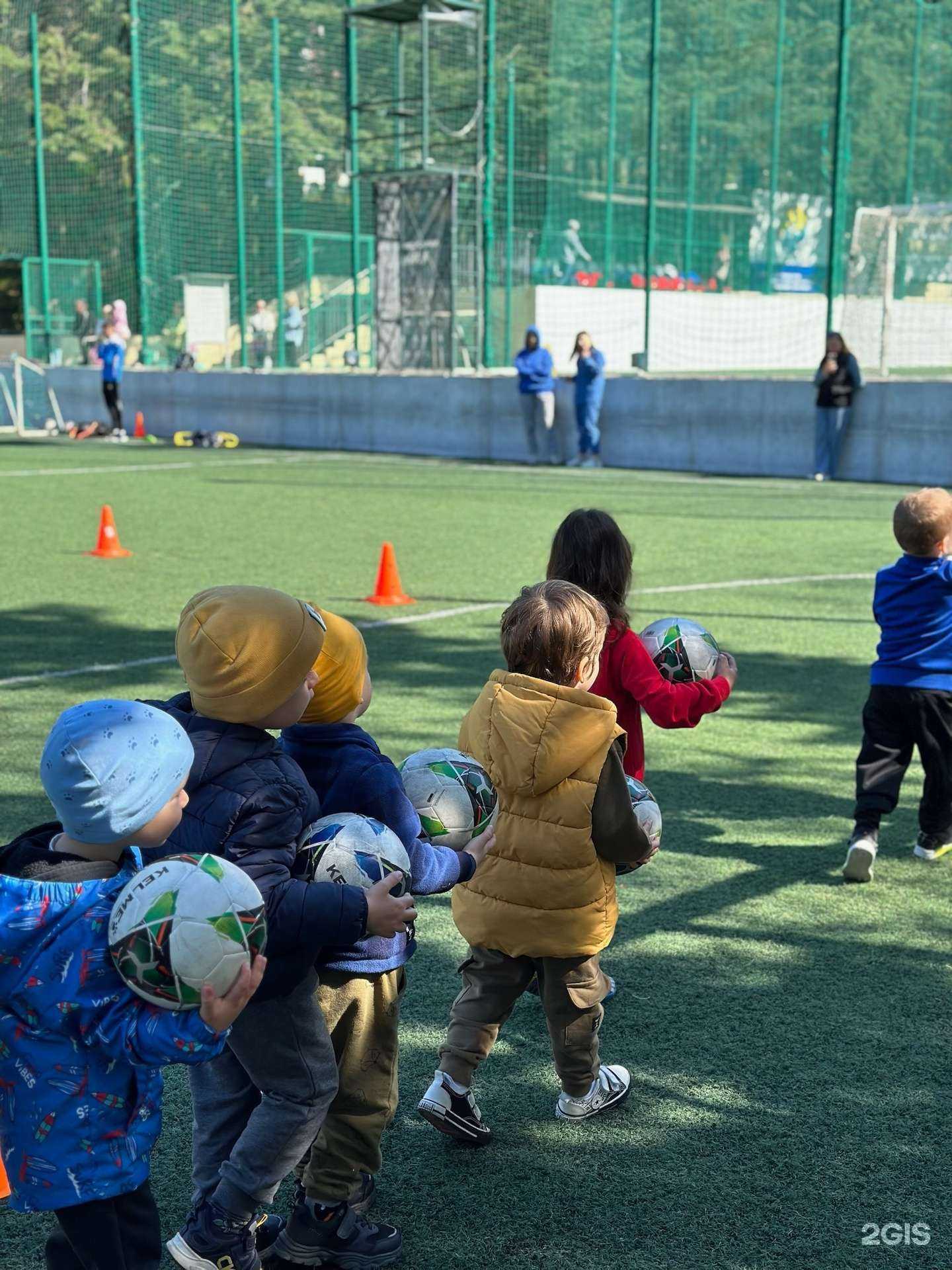 Отзывы на компанию Чемпион в Сочи c фото