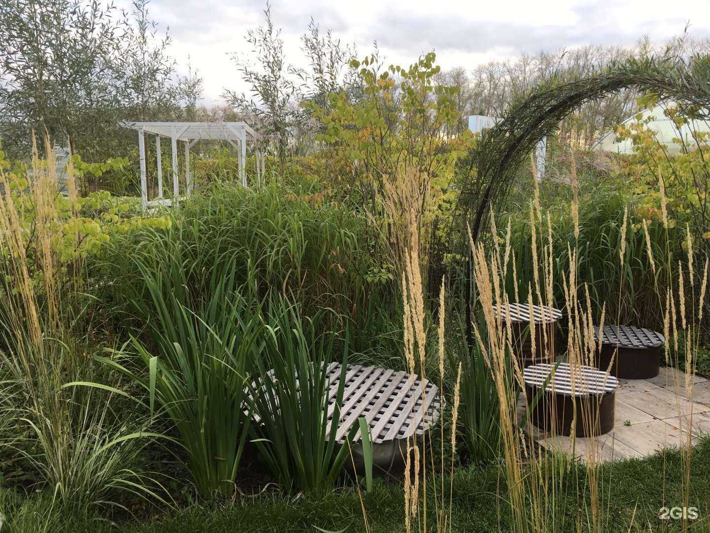 Отзывы на компанию Ветви в г. Тюмень c фото