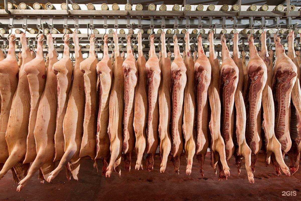 Отзывы на компанию Сибарго в г. Старый Оскол c фото