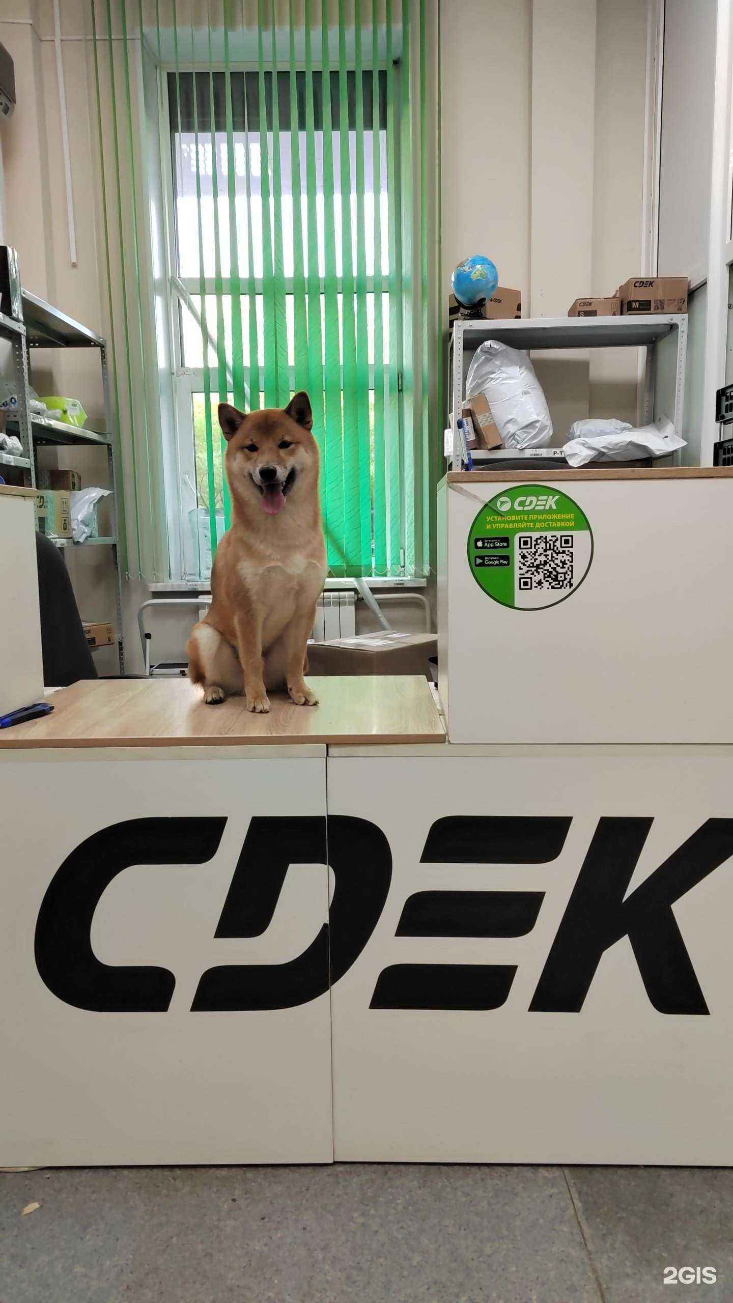 Отзывы на компанию CDEK в Красноярске c фото