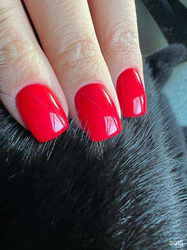 Отзывы на компанию Школа-студия Тюревой Александры в г. Анапа c фото