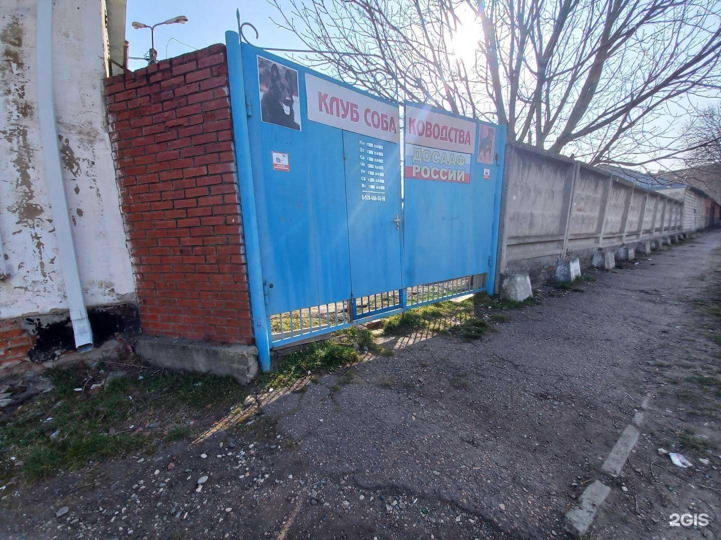 Отзывы на компанию Клуб собаководства в Майкопе c фото