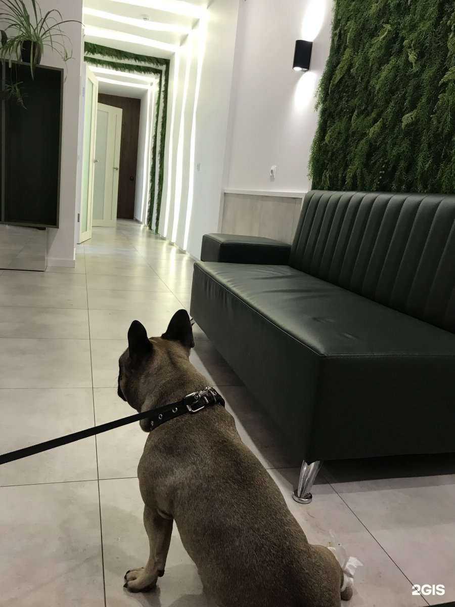 Отзывы на компанию Федерация Киокусинкай Фулл-контакт каратэ Калининградской области в Калининграде c фото - фотография 2 из 2