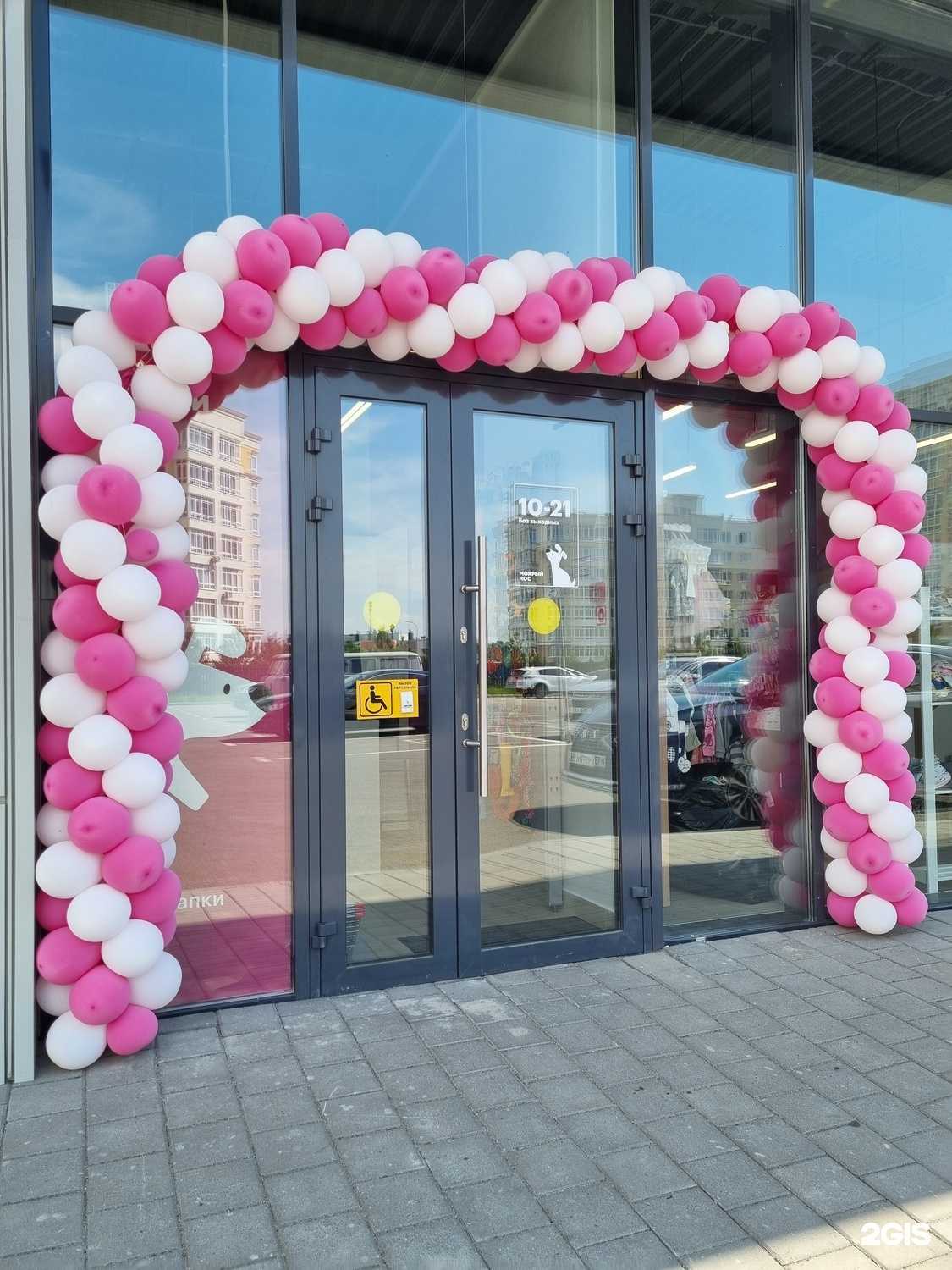 Отзывы на компанию Мокрый нос в г. Кемерово c фото