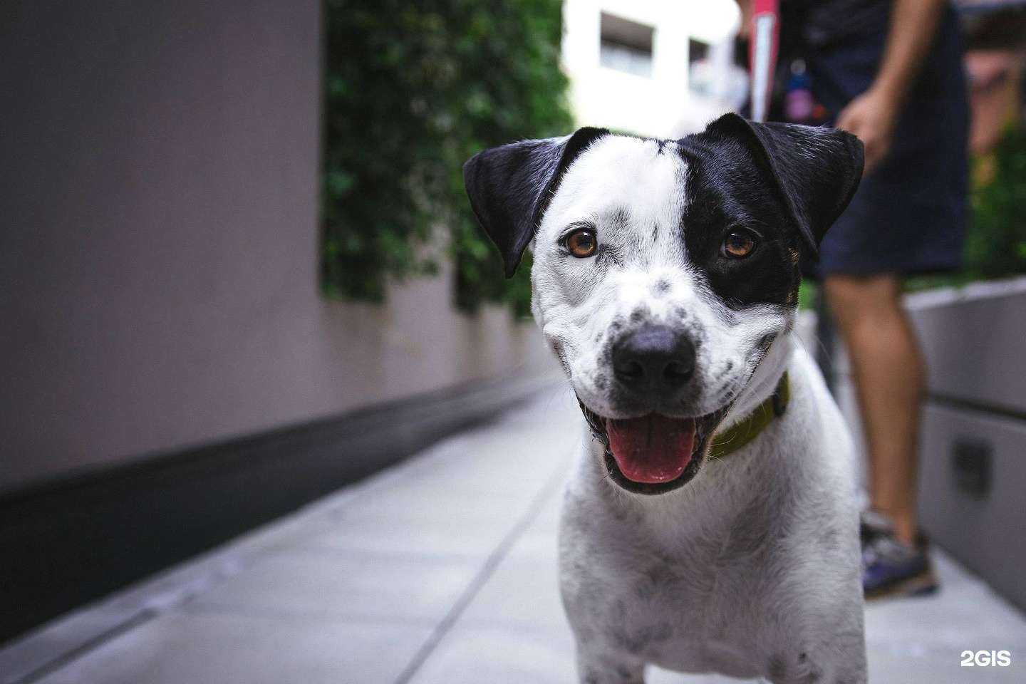 Отзывы на компанию Чемпион в Череповце c фото