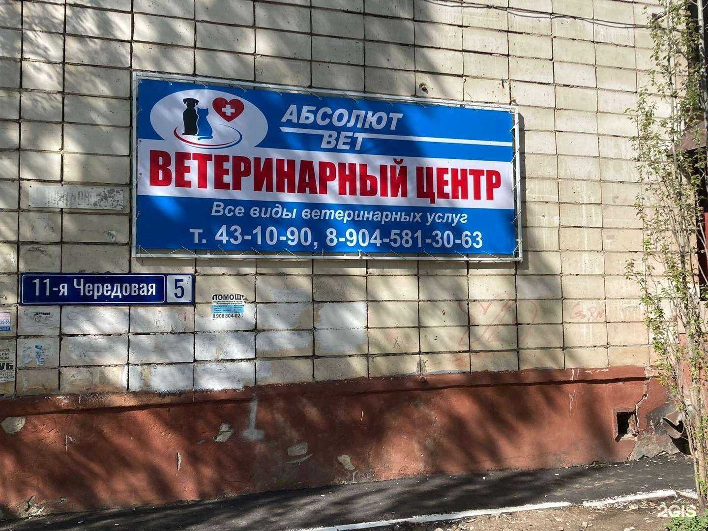 Отзывы на компанию Абсолют-вет в г. Омск c фото