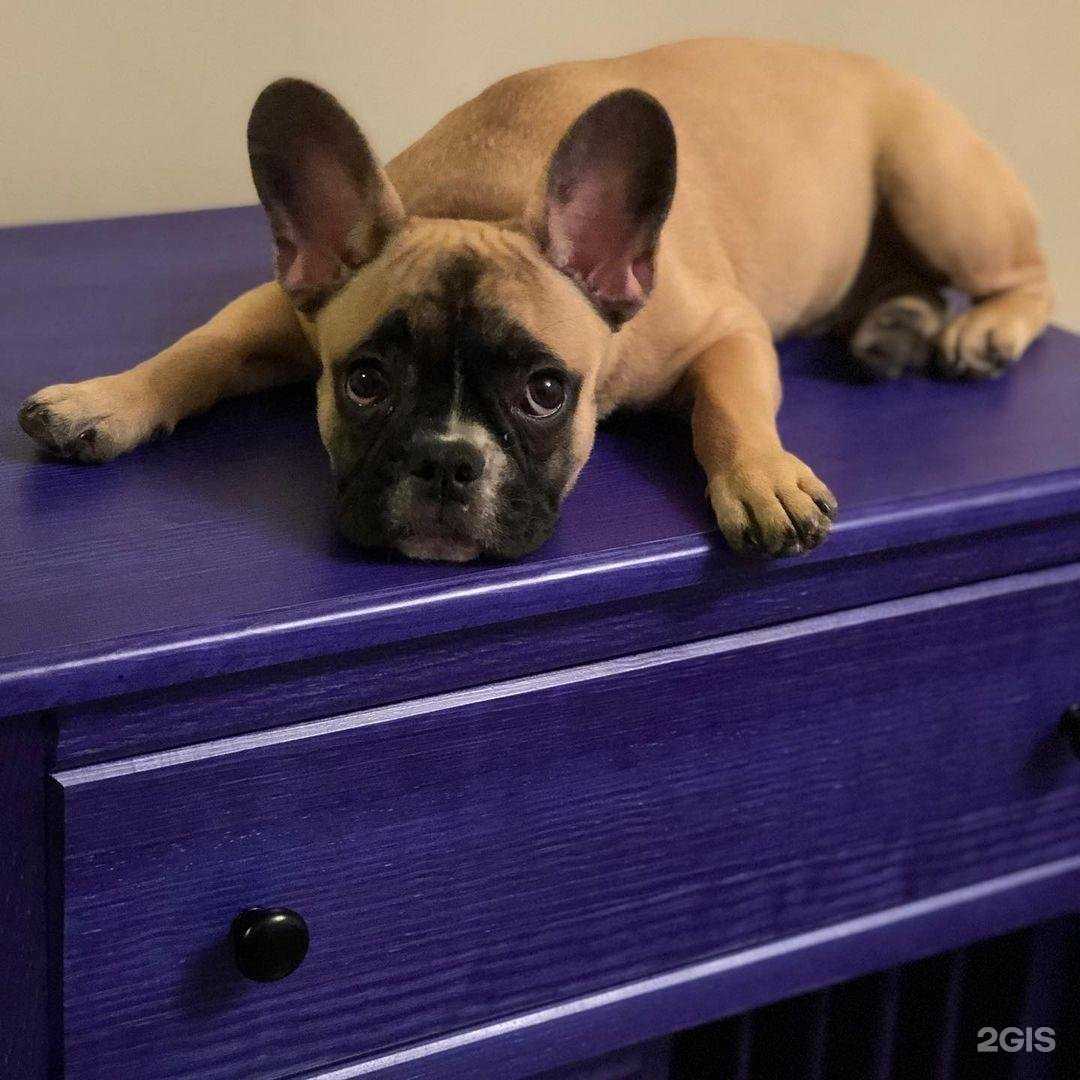 Отзывы на компанию Массив в Красноярске c фото