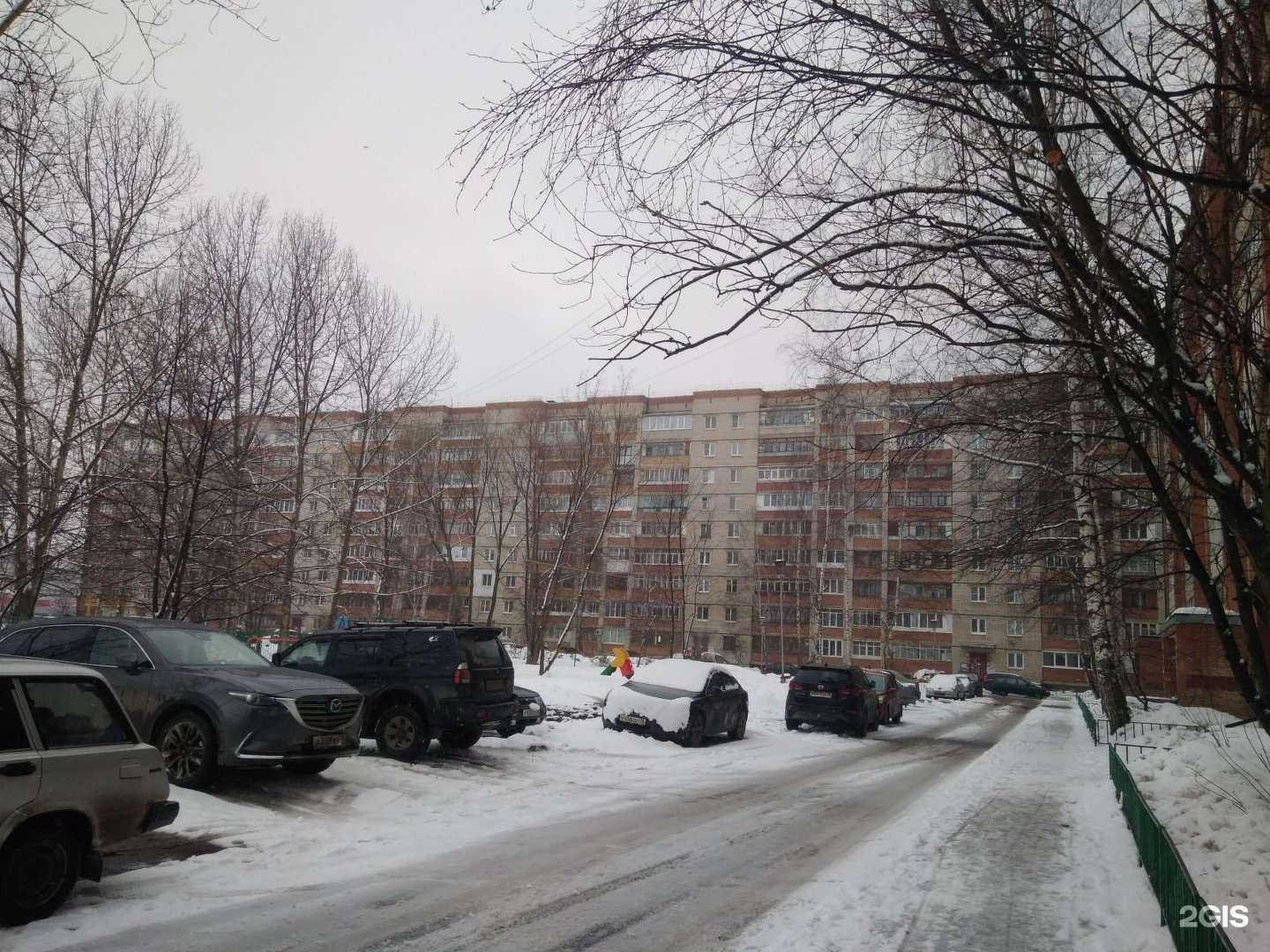 Отзывы на компанию Здравсити в Ярославле c фото - фотография 2 из 2