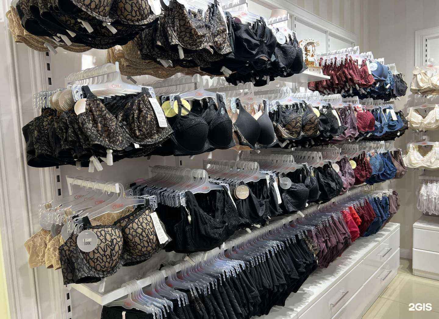 Отзывы на компанию Бретель в Липецке c фото