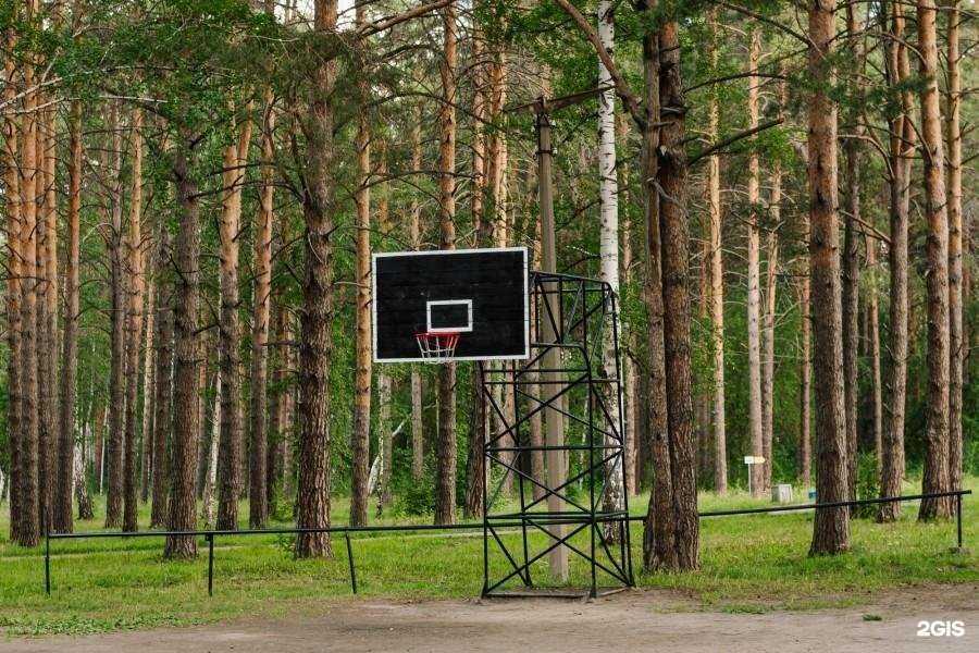 Отзывы на компанию Чкаловский в Екатеринбурге c фото