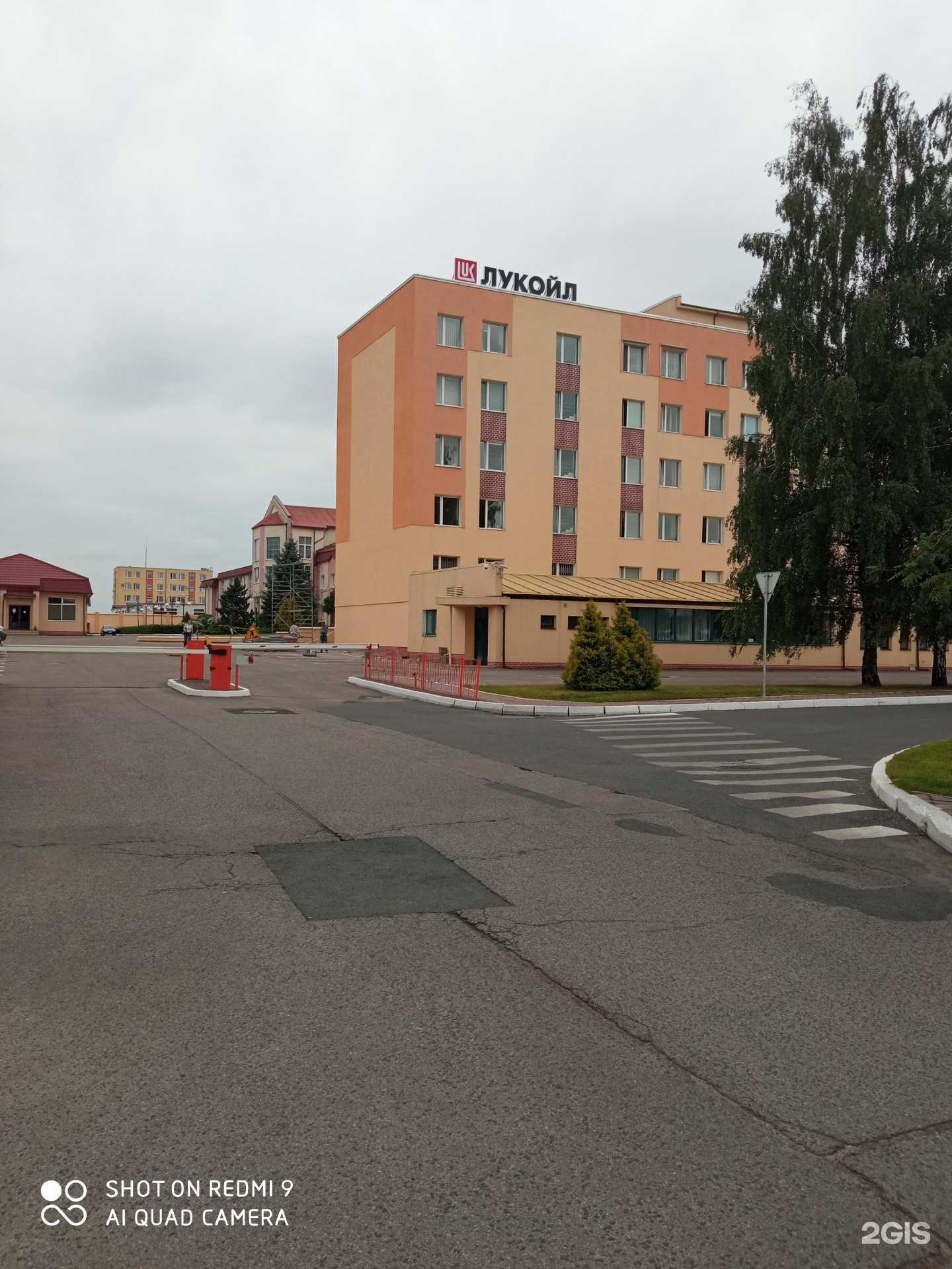 Отзывы на компанию Луком-а-северо-запад в г. Калининград c фото