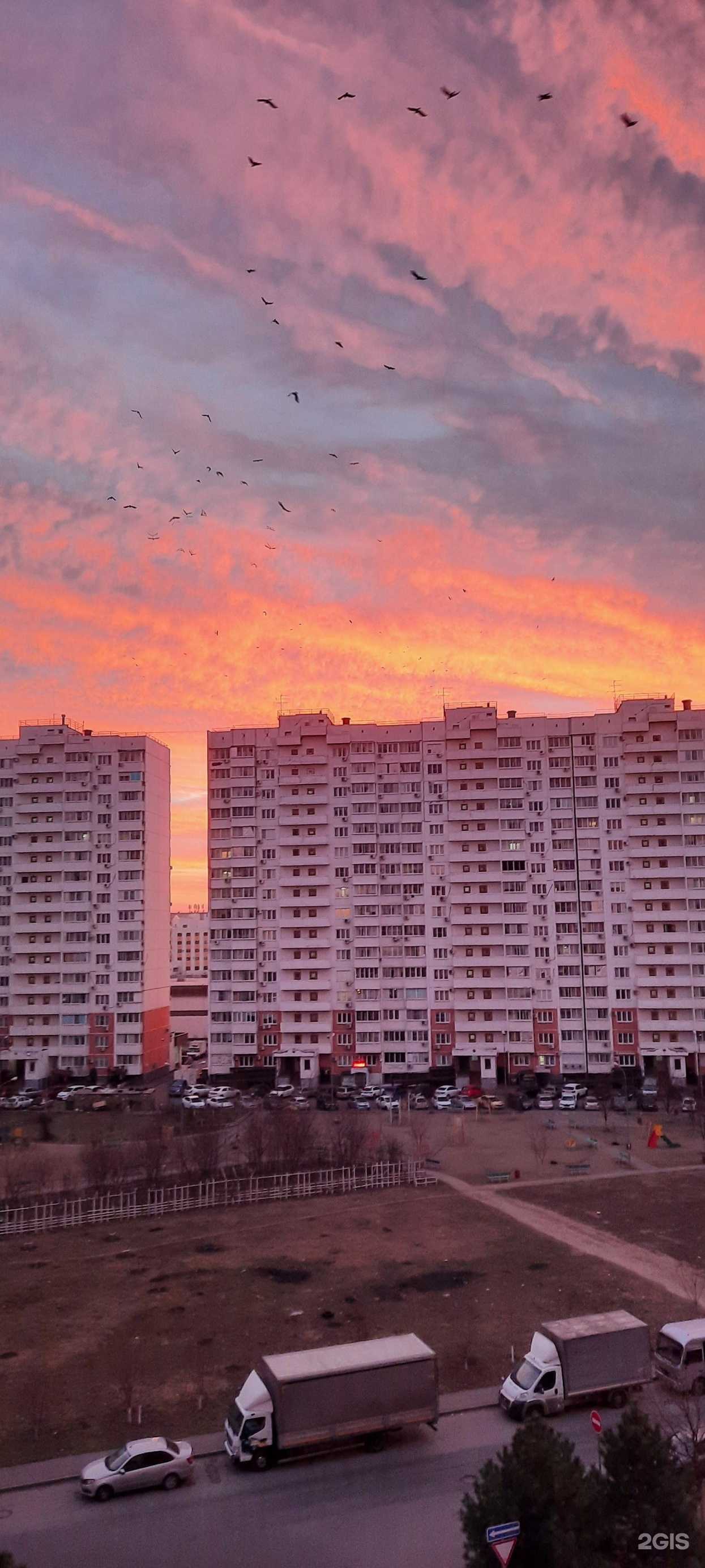 Отзывы на компанию Аптека №1-Краснодар в Краснодаре c фото - фотография 2 из 2