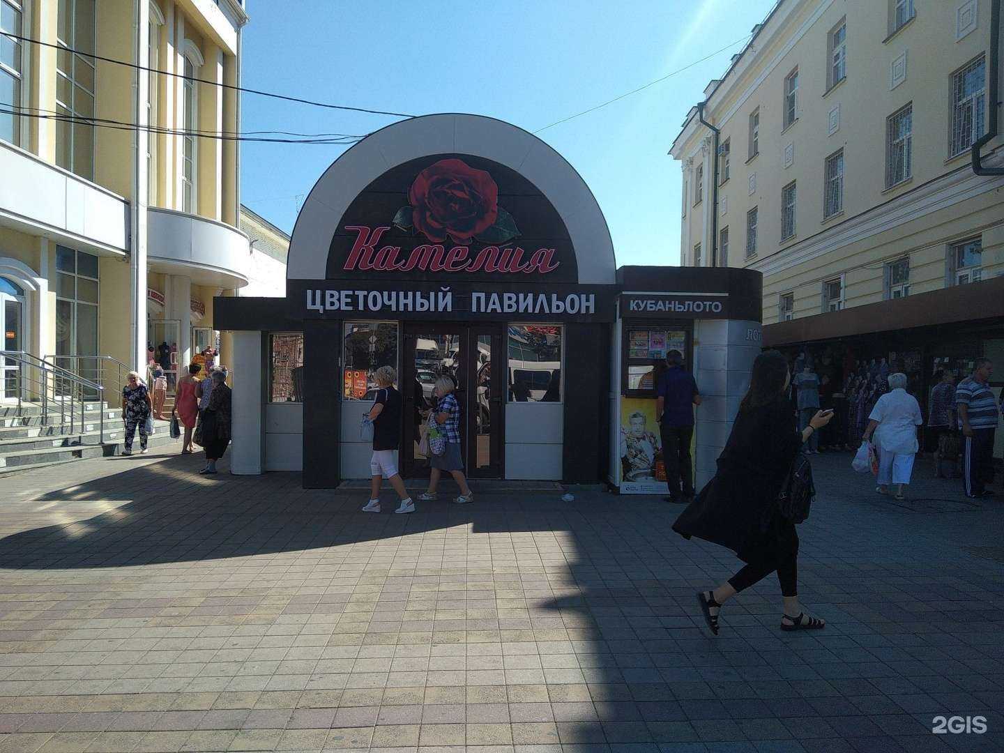 Отзывы на компанию Камелия в Армавире c фото