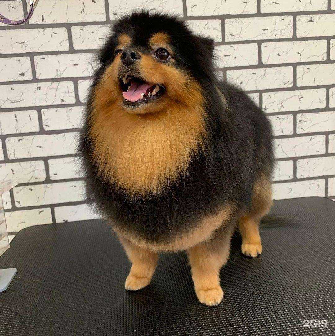 Отзывы на компанию Титул в Балашихе c фото