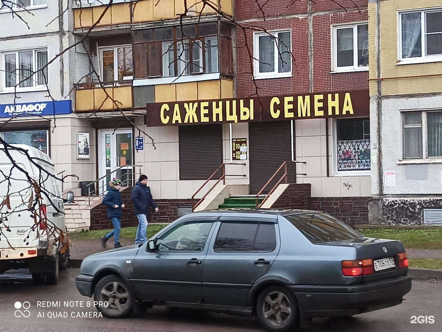 Отзывы на компанию Семена, саженцы в г. Великий Новгород c фото