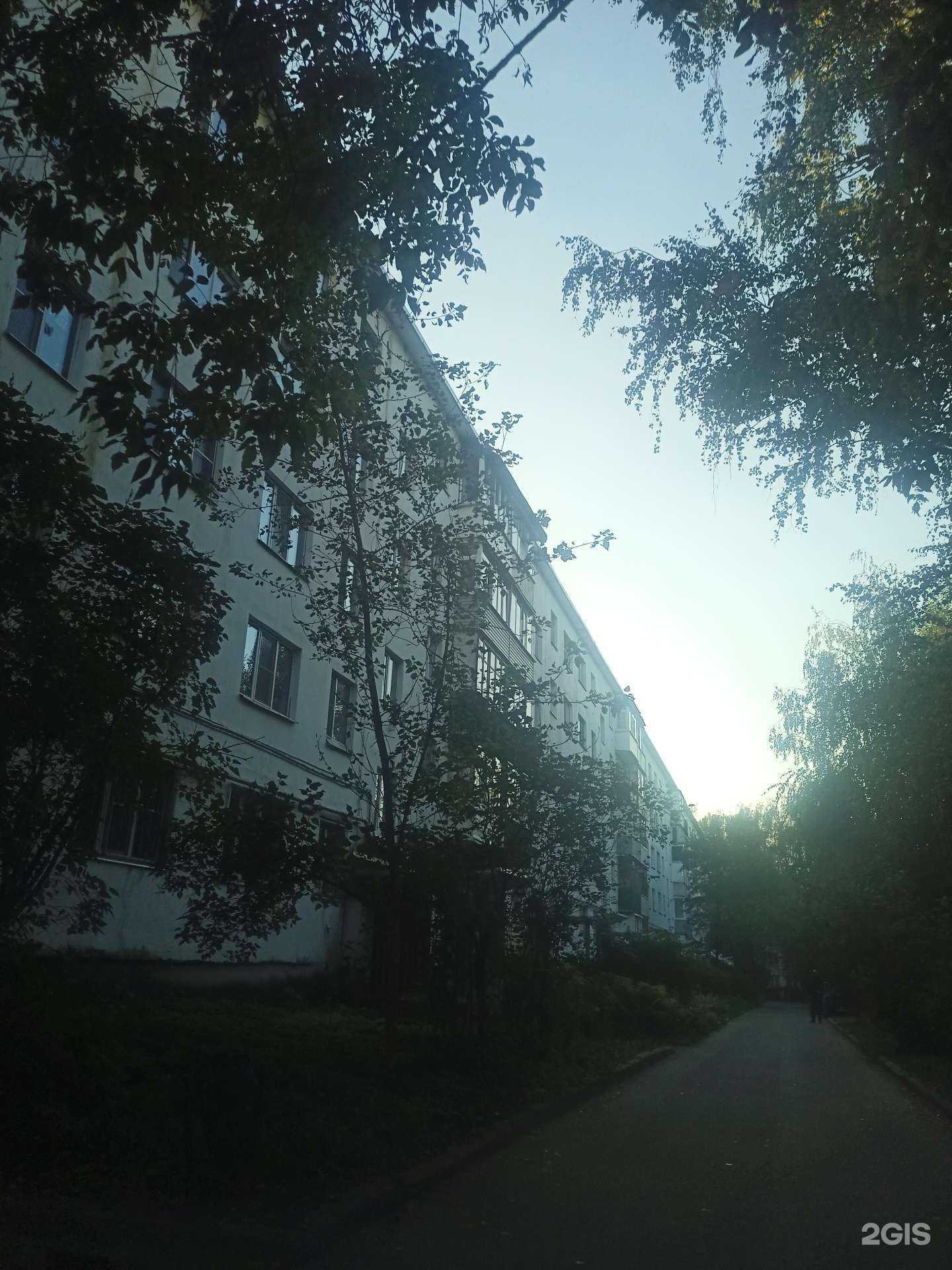 Отзывы на компанию Жавороночки в Костроме c фото - фотография 2 из 2