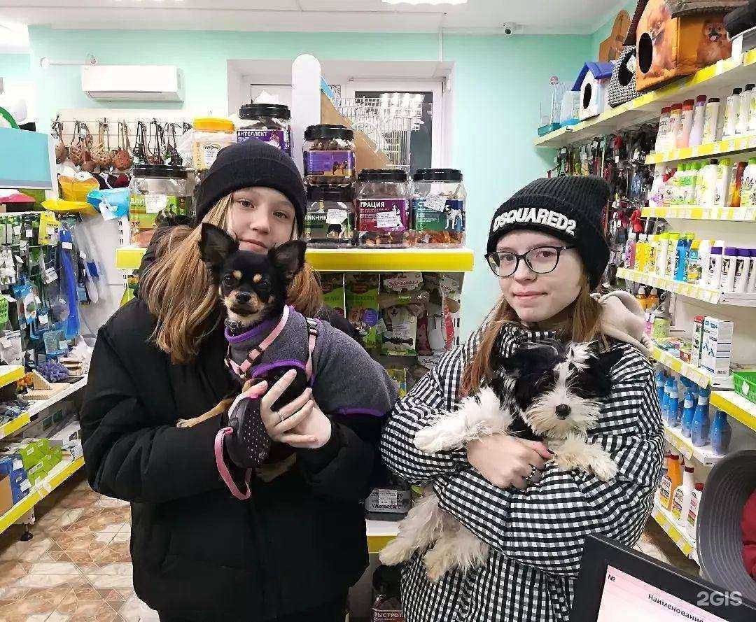 Отзывы на компанию Зоосервис в Чебоксарах c фото