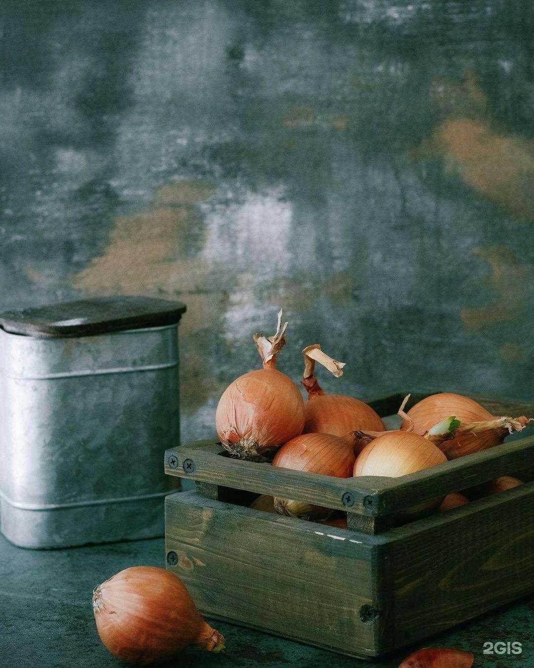 Отзывы на компанию Casablanca в г. Махачкала c фото