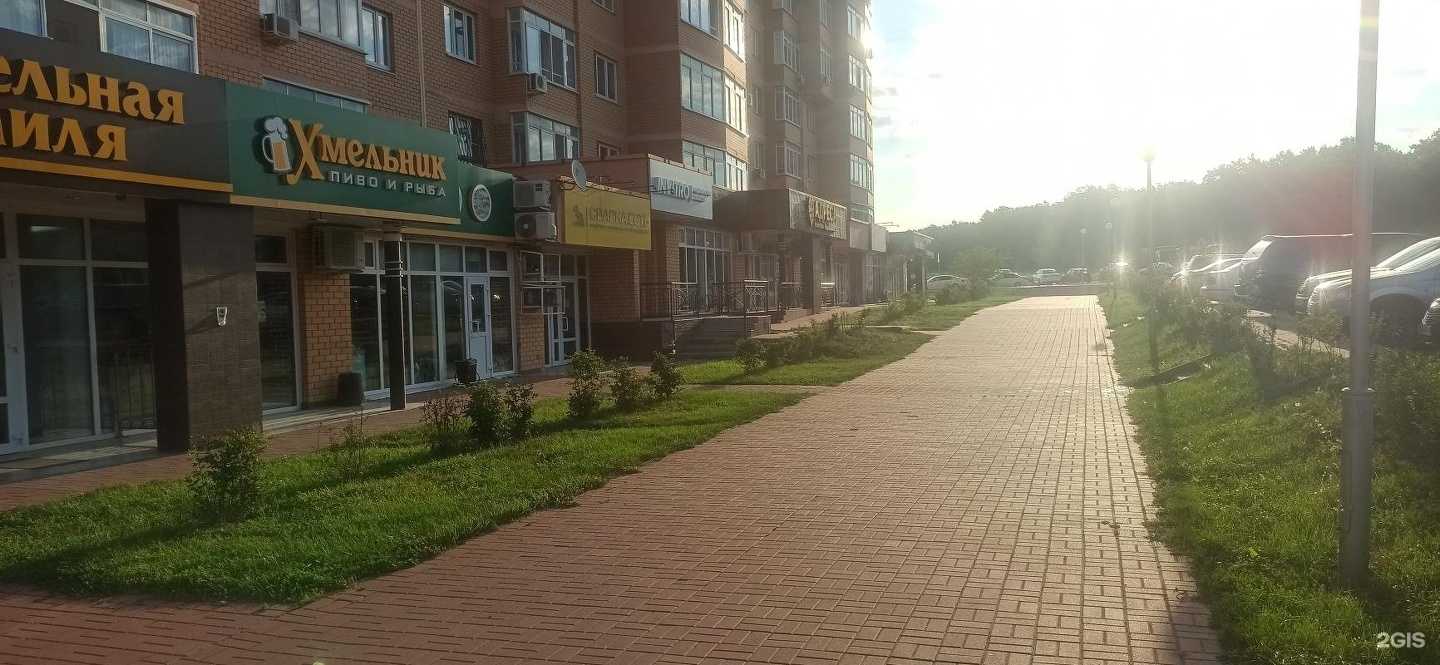 Отзывы на компанию Invitro в Старом Осколе c фото