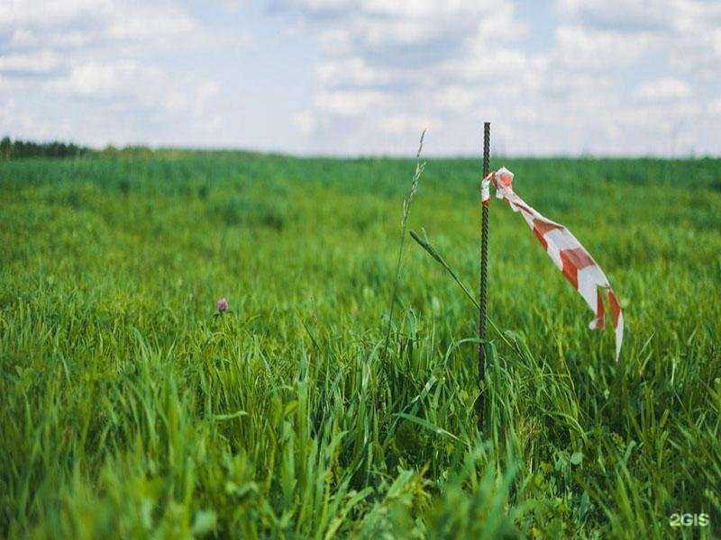 Отзывы на компанию Проектно-геодезическая компания в г. Верхняя Салда c фото