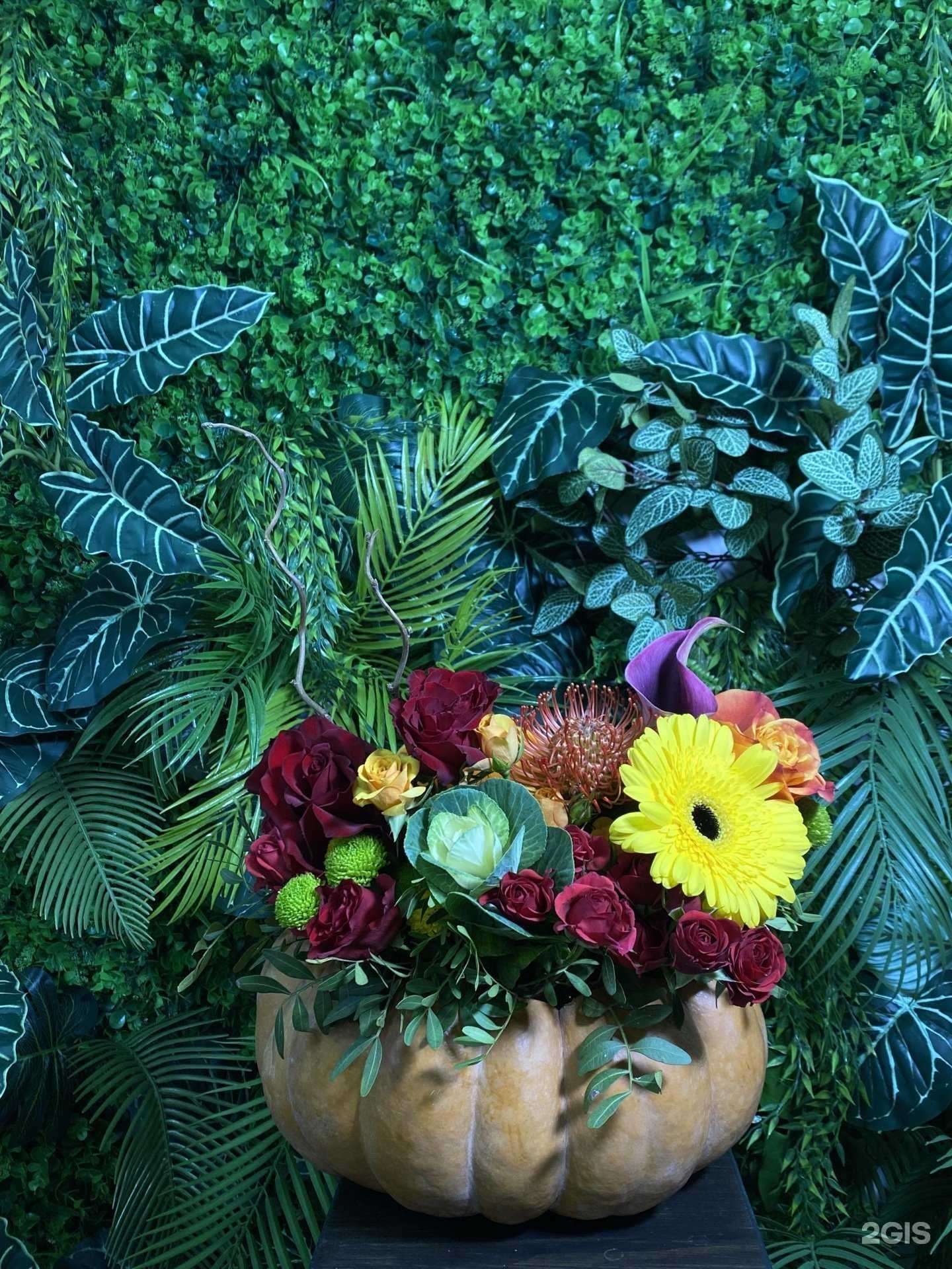 Отзывы на компанию Mon ami la Fiori в Петрозаводске c фото