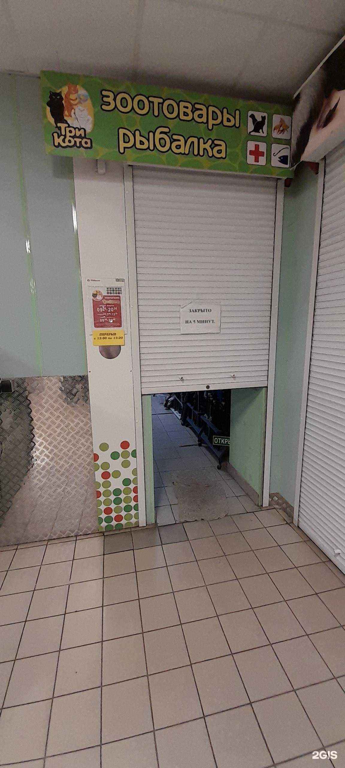 Отзывы на компанию Три кота в Воронеже c фото