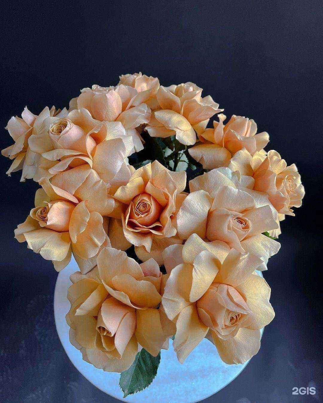 Отзывы на компанию Blumen Zu в г. Грозный c фото