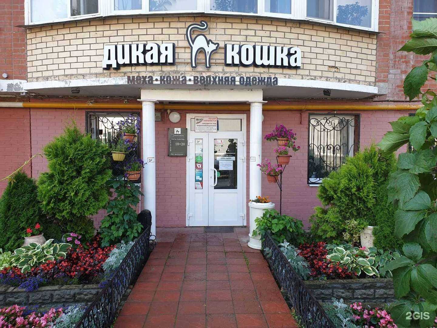 Отзывы на компанию Дикая кошка в г. Пермь c фото