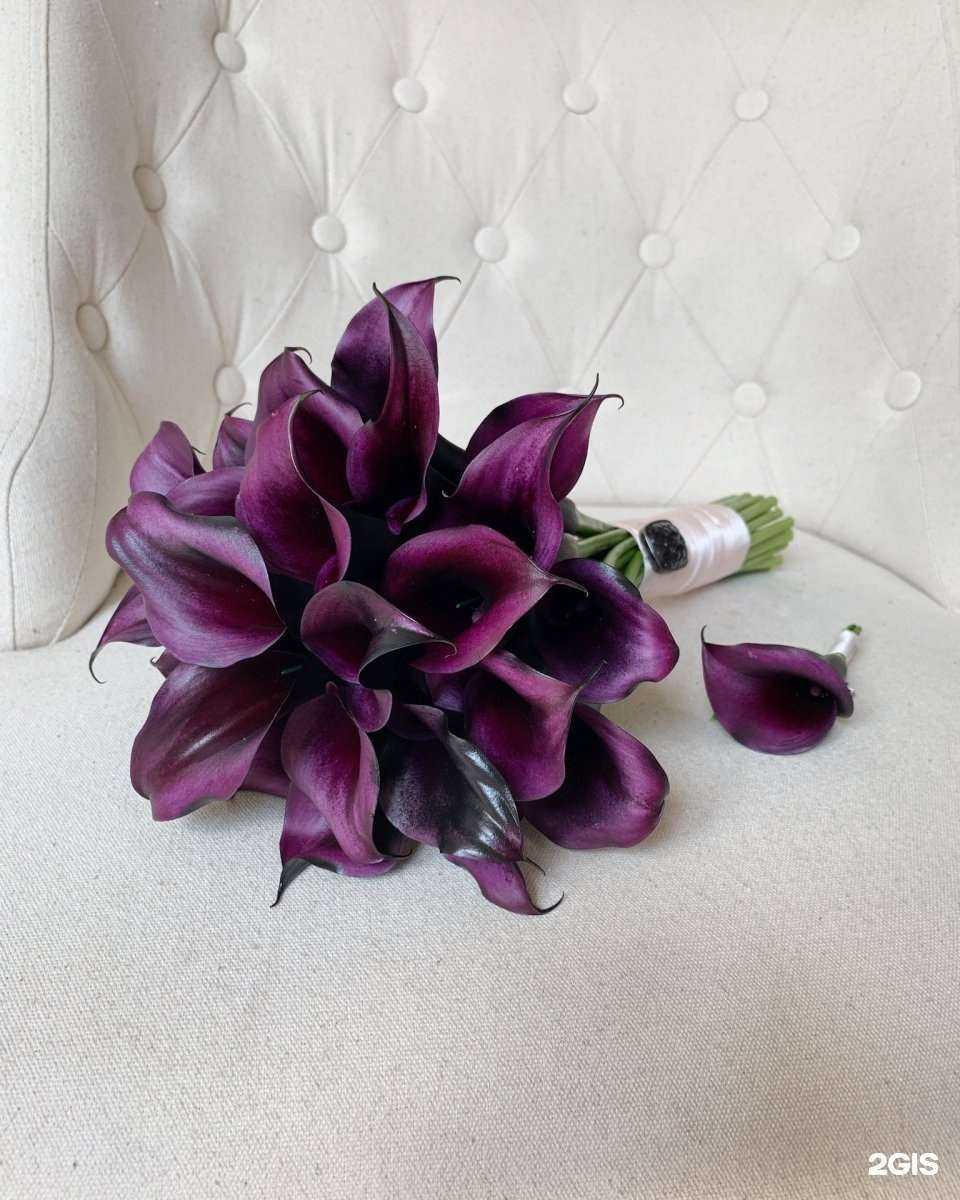 Отзывы на компанию Oliva Studio в Новокуйбышевске c фото