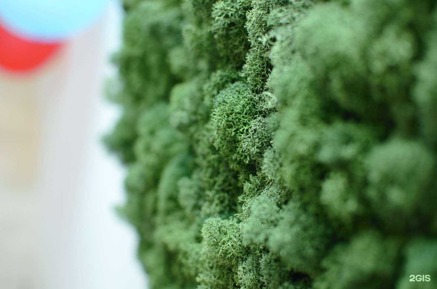 Отзывы на компанию Омега СПА в Краснодаре c фото