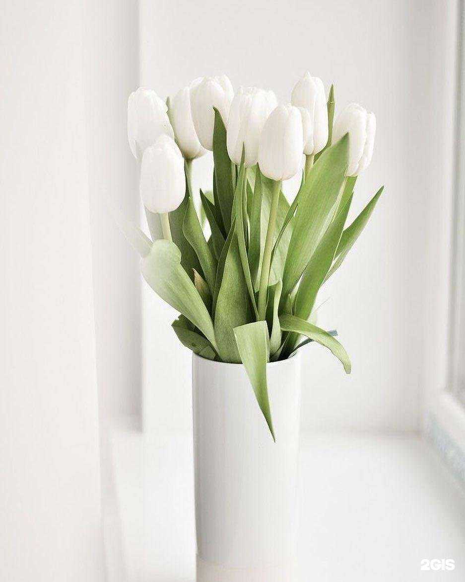 Отзывы на компанию Fit N Go в Коммунарке c фото