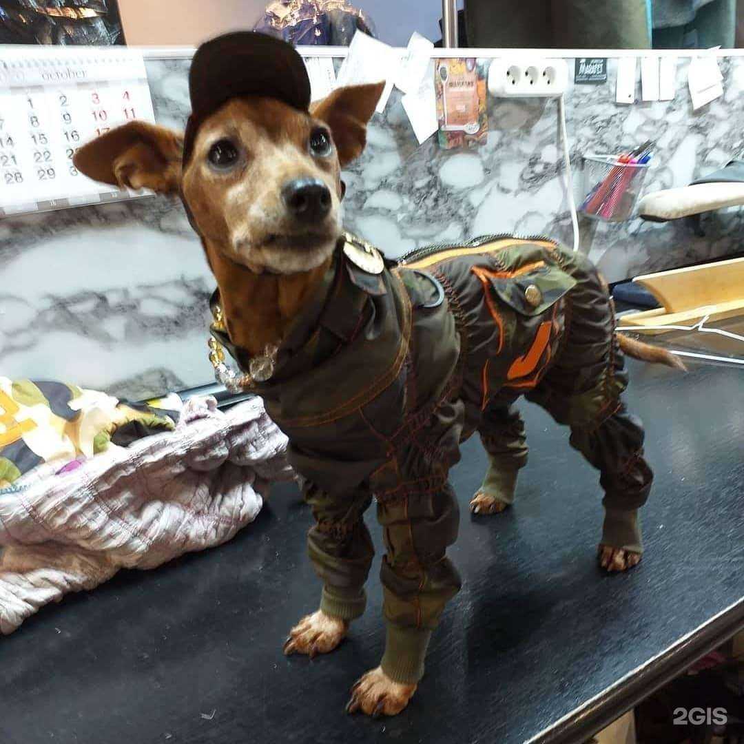 Отзывы на компанию Underground в Ростове-на-Дону c фото