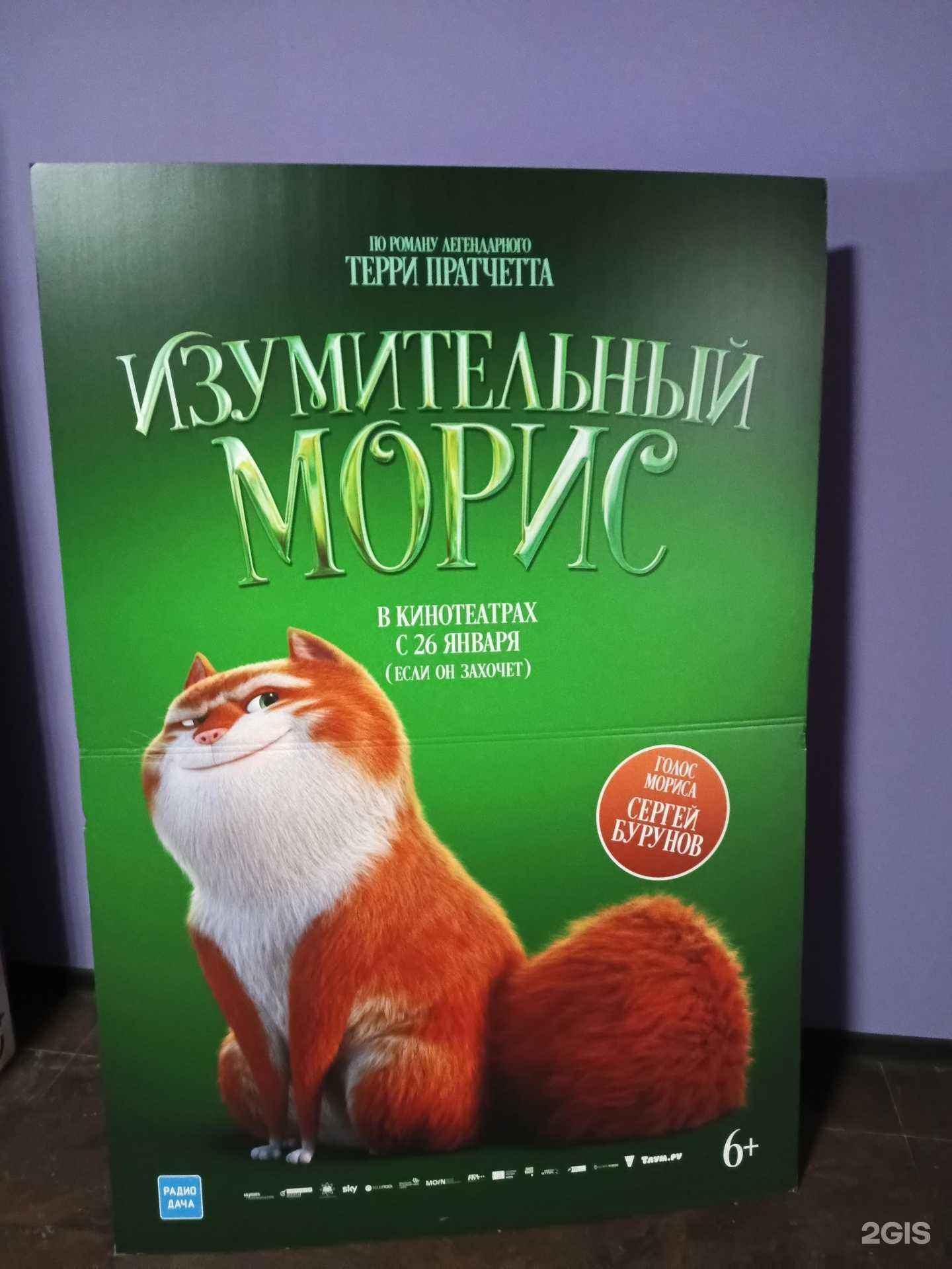 Отзывы на компанию Арлекино в Нижнем Новгороде c фото