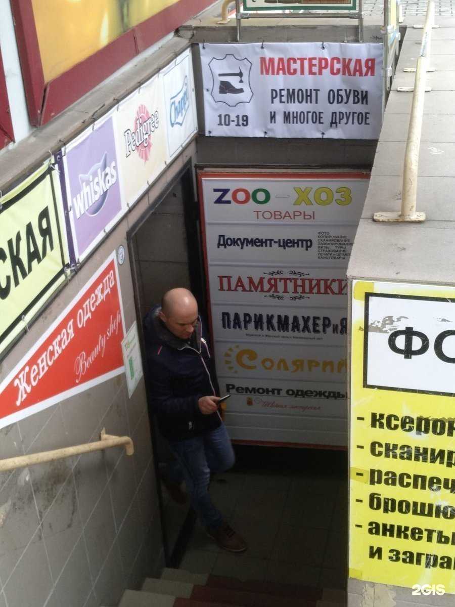 Отзывы на компанию Кошкин дом в Калининграде c фото