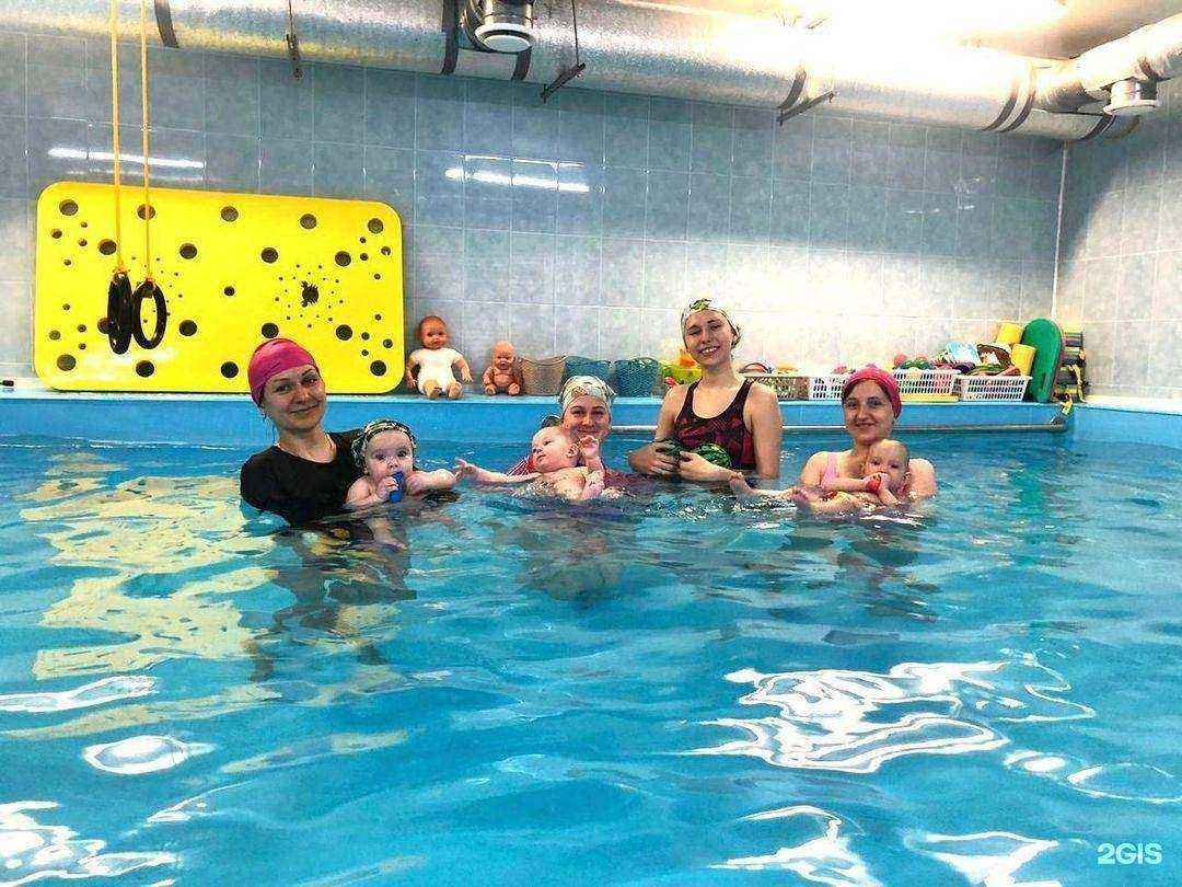 Отзывы на компанию Дельфинчик в г. Орехово-Зуево c фото