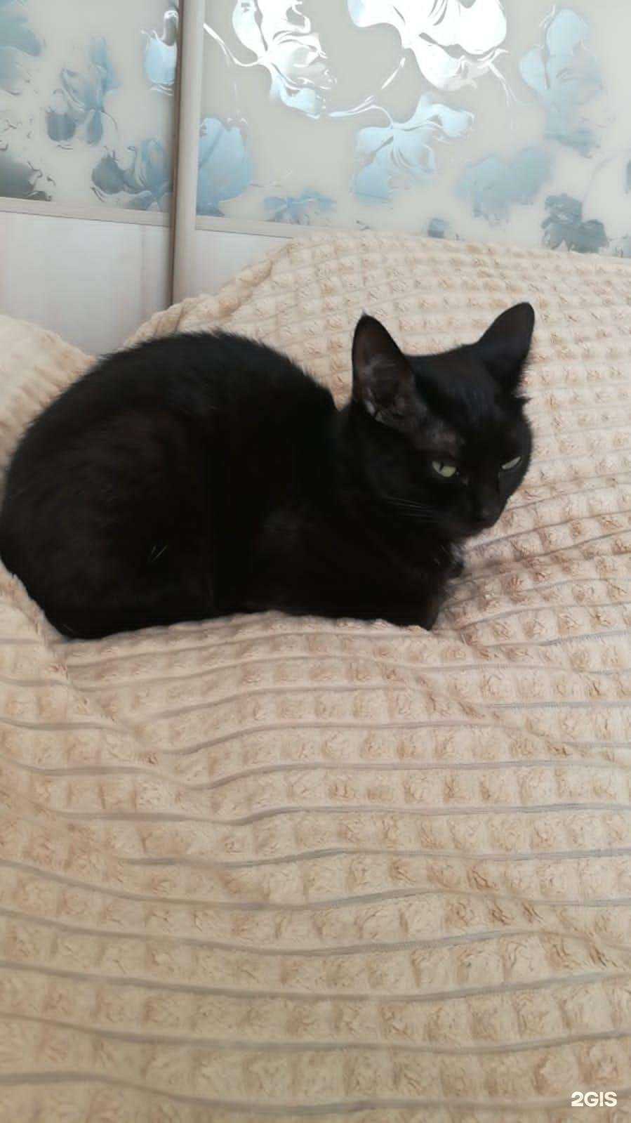 Отзывы на компанию Красный кролик в Новосибирске c фото