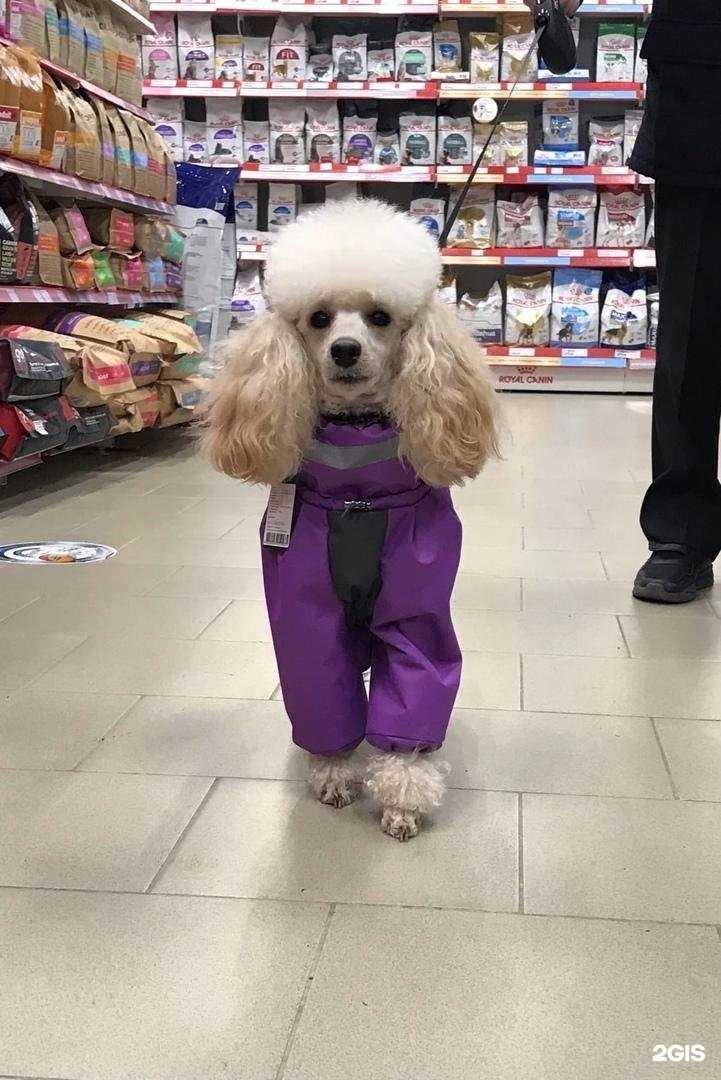 Отзывы на компанию Космозоо в г. Архангельск c фото