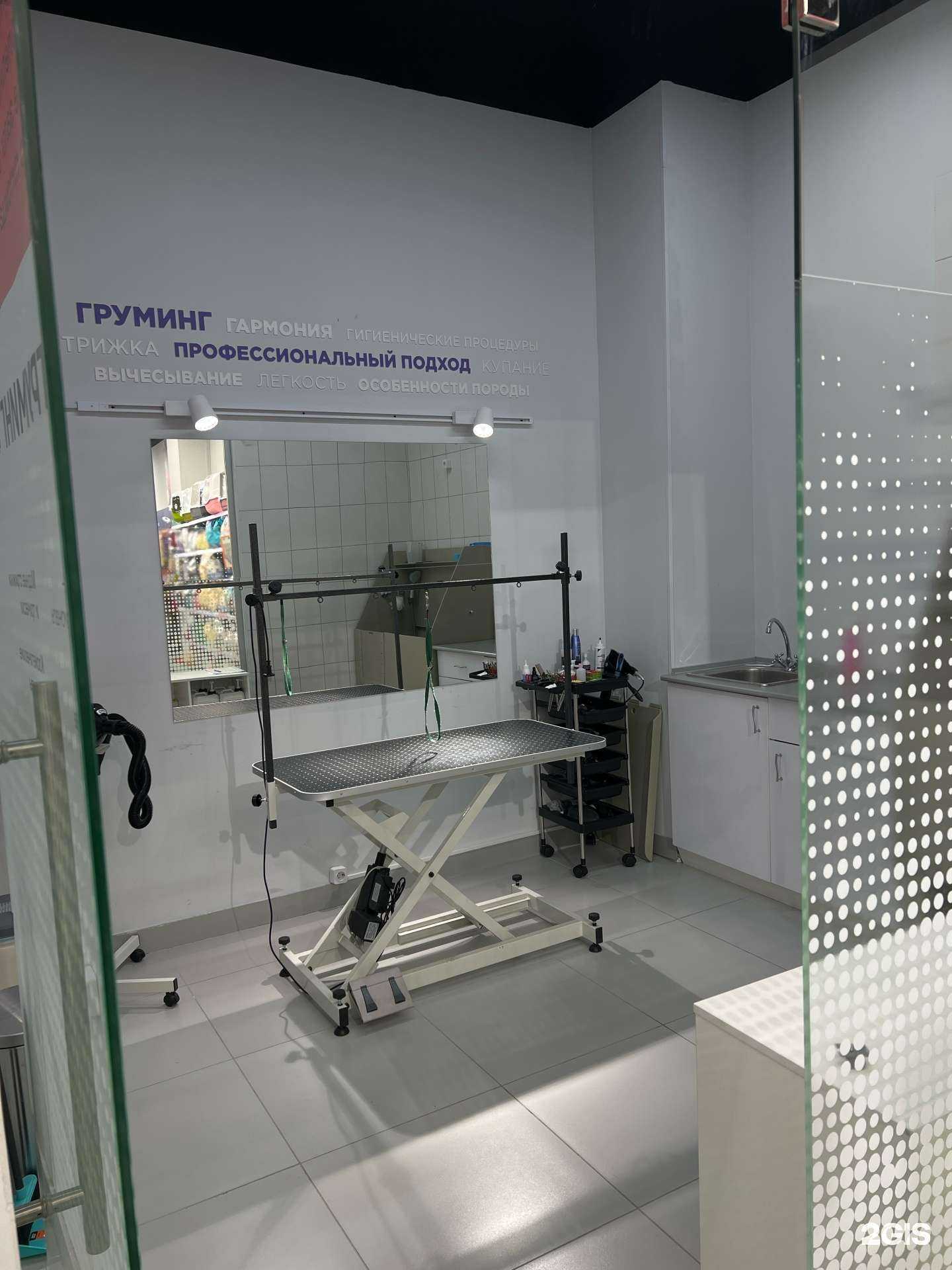 Отзывы на компанию Четыре лапы в г. Тюмень c фото