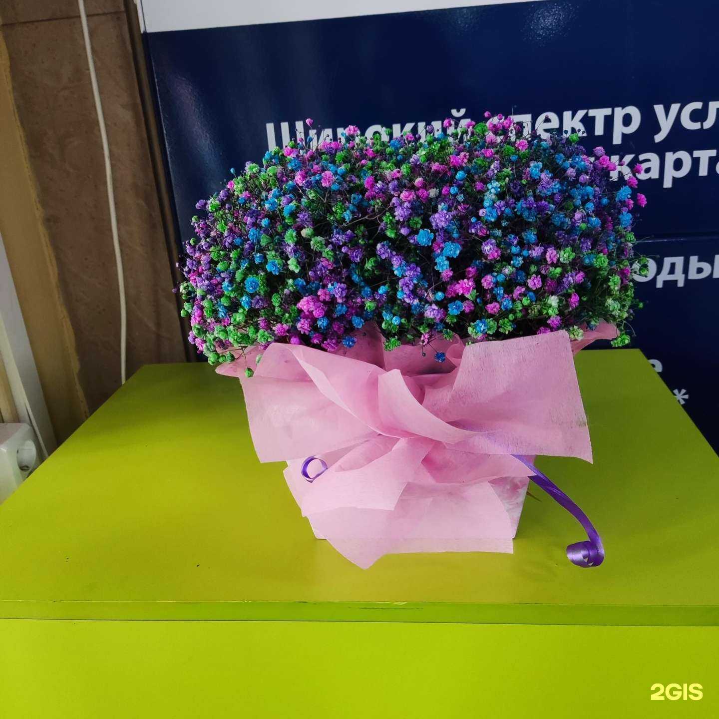 Отзывы на компанию Магазин живых цветов и комнатных растений в г. Новокузнецк c фото