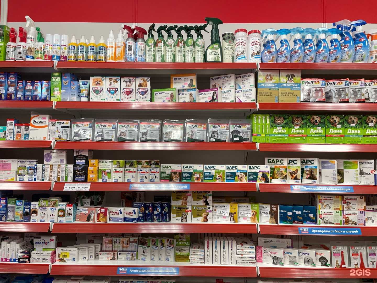 Отзывы на компанию ЗооДруг в г. Нижний Новгород c фото