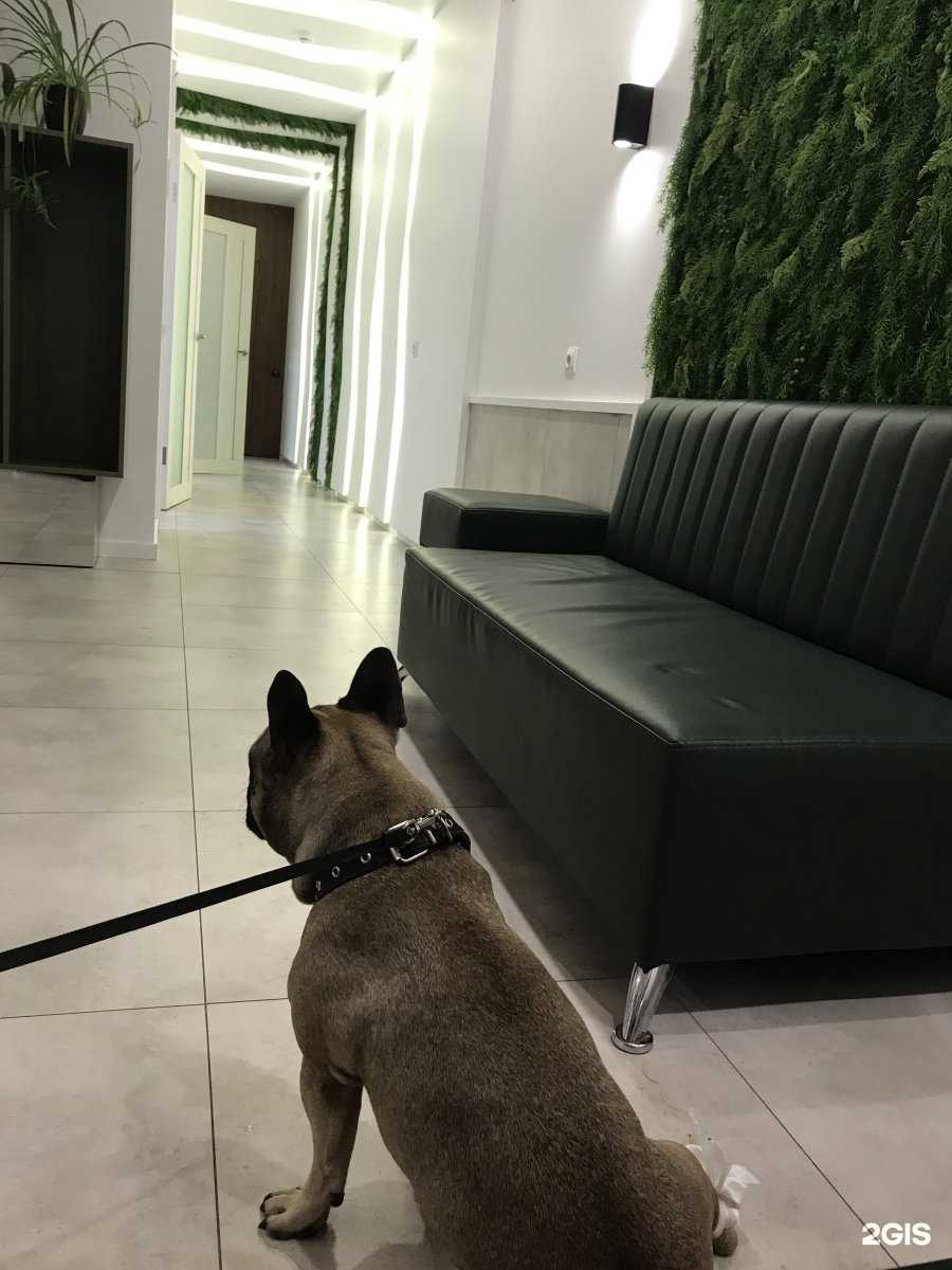 Отзывы на компанию Mitsuba в Калининграде c фото - фотография 2 из 2