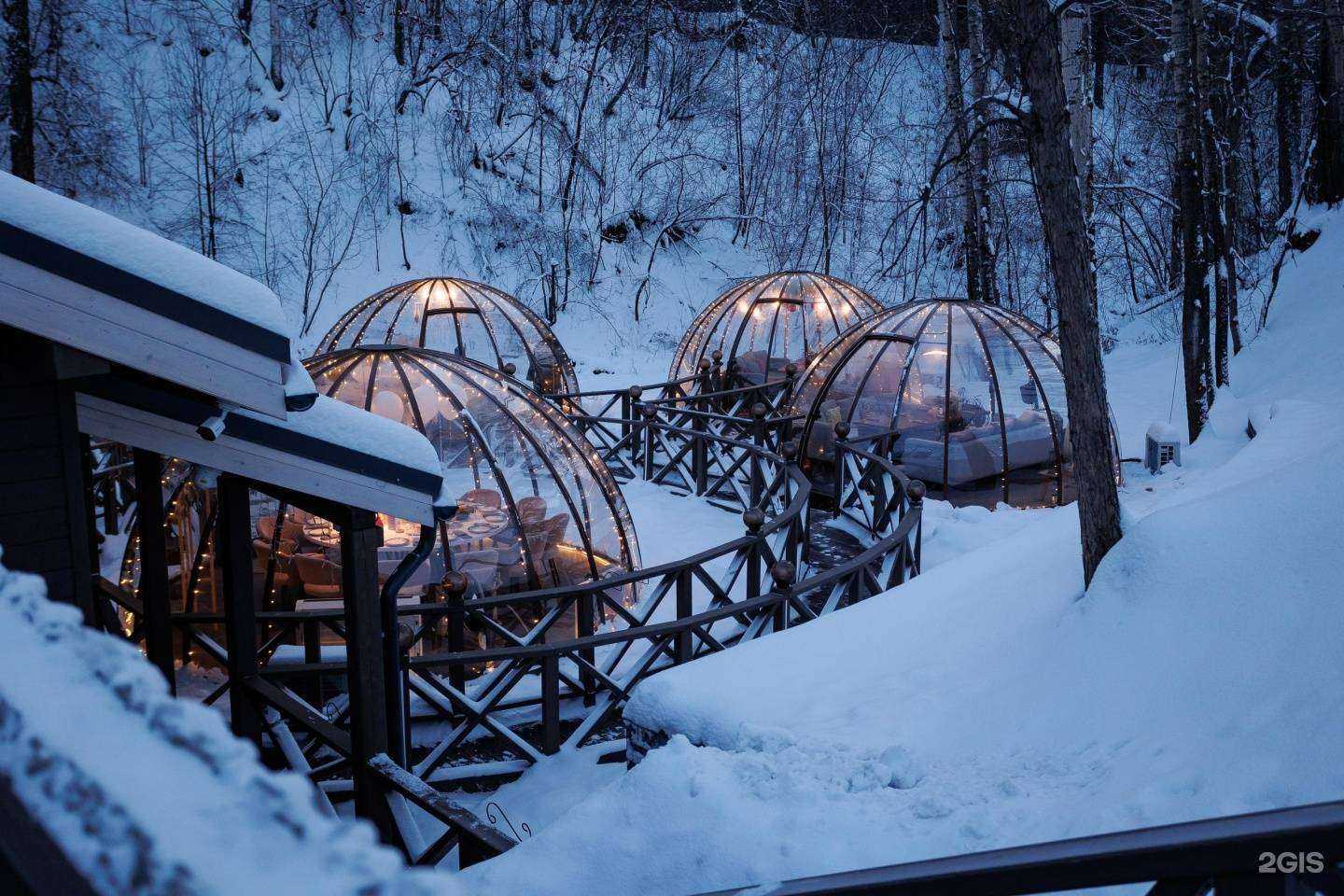 Отзывы на компанию Лето в г. Новосибирск c фото