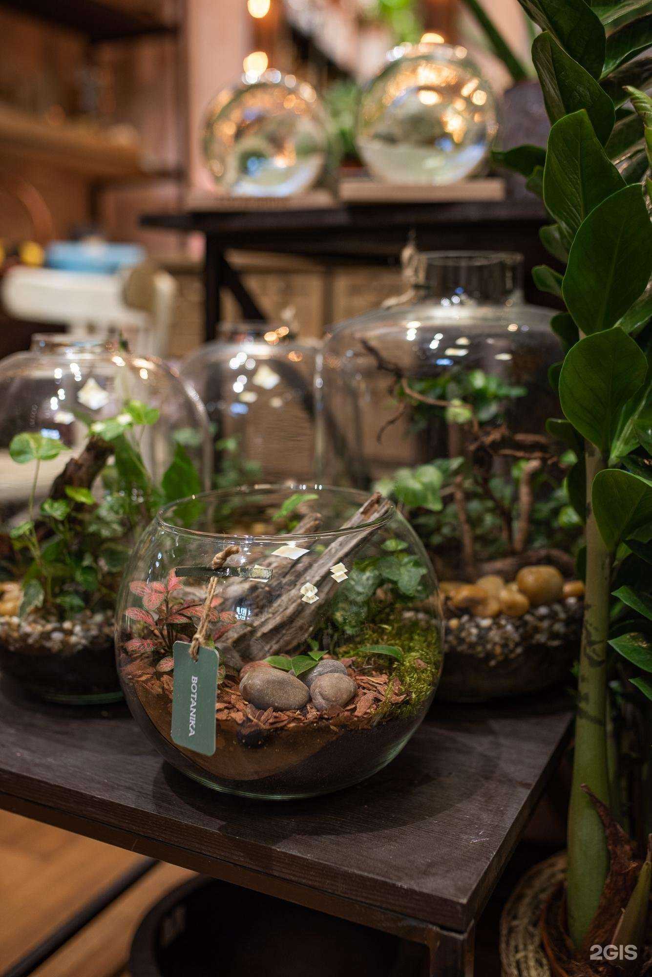 Отзывы на компанию Botanika в Мурманске c фото