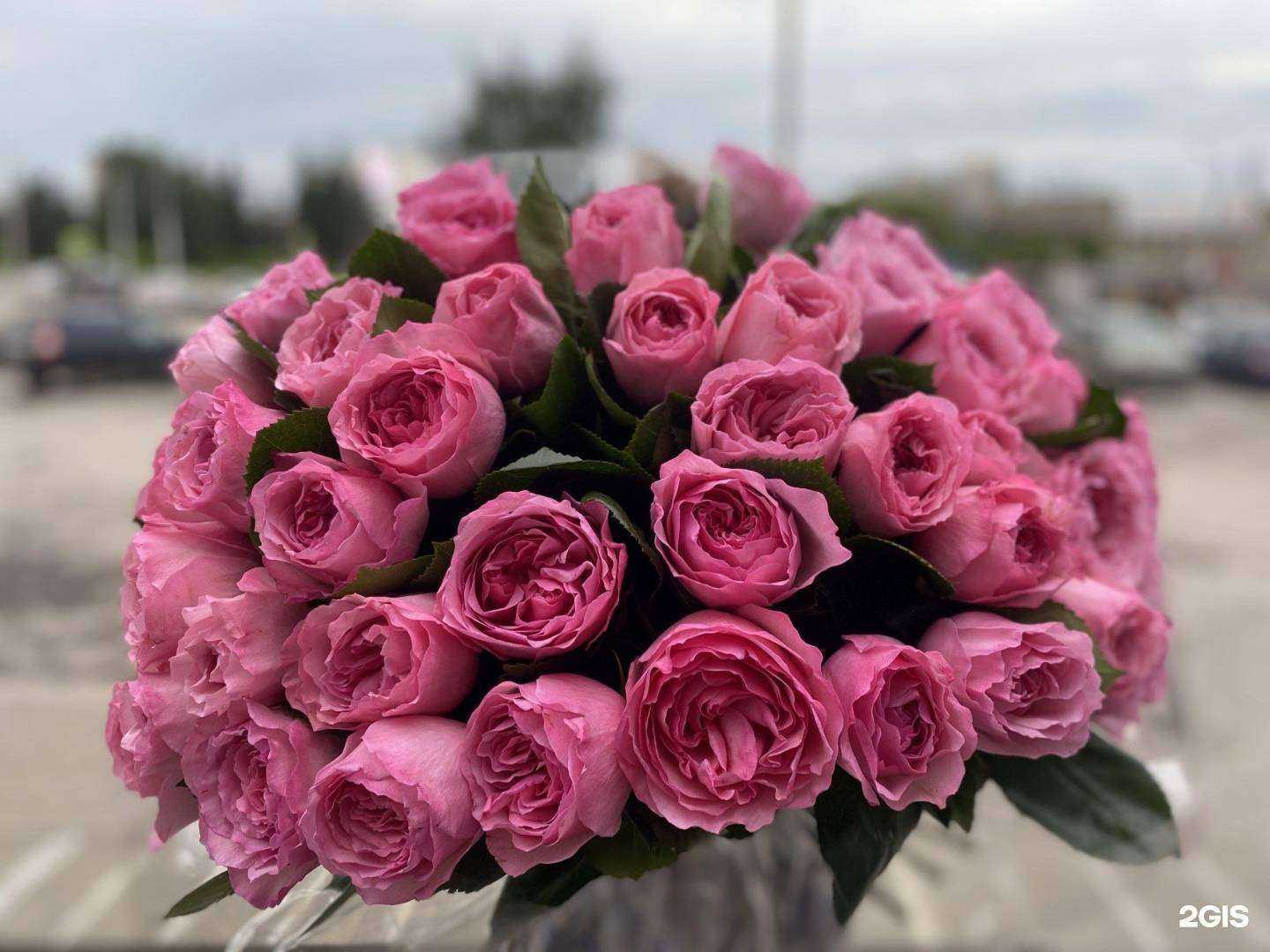 Отзывы на компанию Территория цветов в г. Рязань c фото