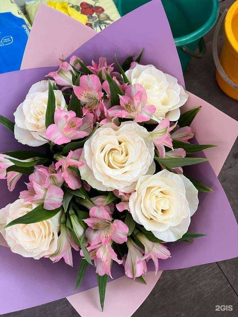 Отзывы на компанию Диана в Норильске c фото